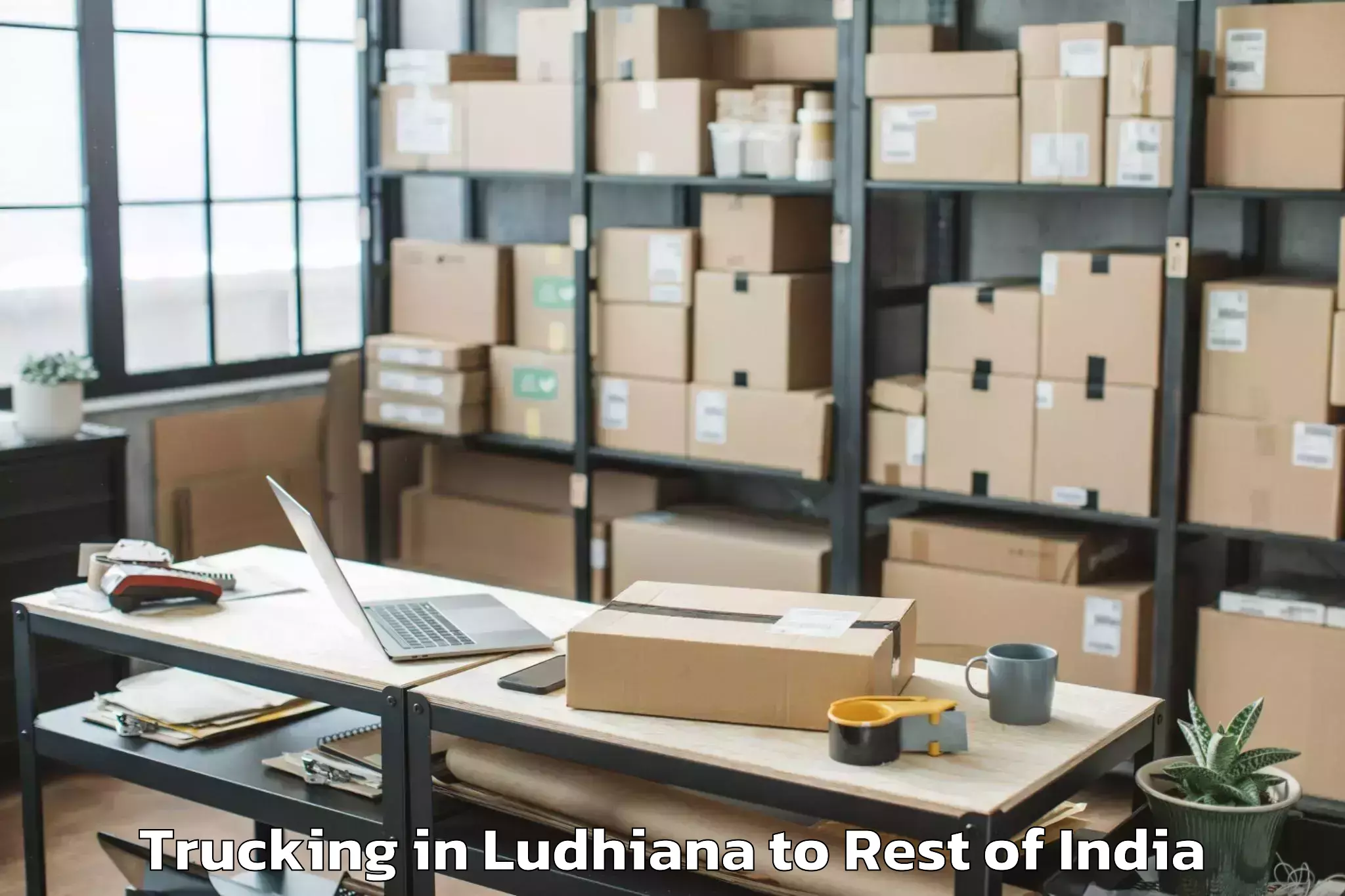 Leading Ludhiana to Rebo Perging Trucking Provider